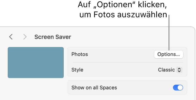 Der obere Teil des Fensters „Systemeinstellungen“ mit den Optionen für Fotos.