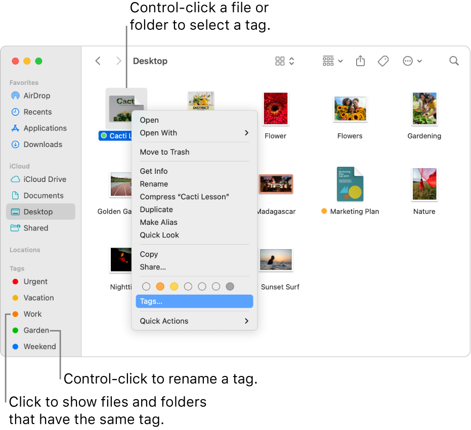 A Finder window containing tagged files and folders, with a file selected. In the shortcut menu, there are colour choices for tags and Tags is highlighted.