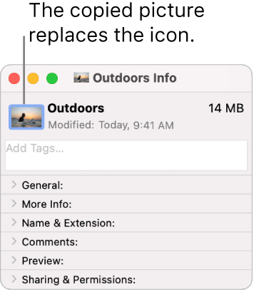The Info window for a folder, showing the generic icon replaced by a picture.