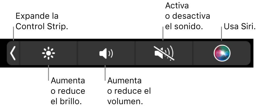 Los botones incluidos en la Control Strip contraída, de izquierda a derecha, para expandir la Control Strip, aumentar o reducir el brillo de la pantalla y el volumen, activar o desactivar el sonido, y usar Siri.