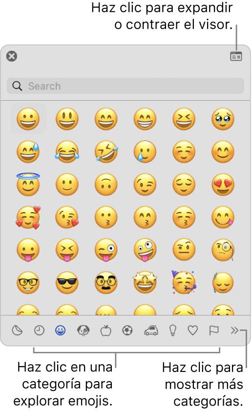 La ventana de visor de caracteres. Haz clic en una categoría en la parte inferior para buscar caracteres o símbolos. En el campo de búsqueda, ingresa el nombre o código de un símbolo para buscar un carácter. En la esquina superior derecha, haz clic para expandir o contraer el visor.