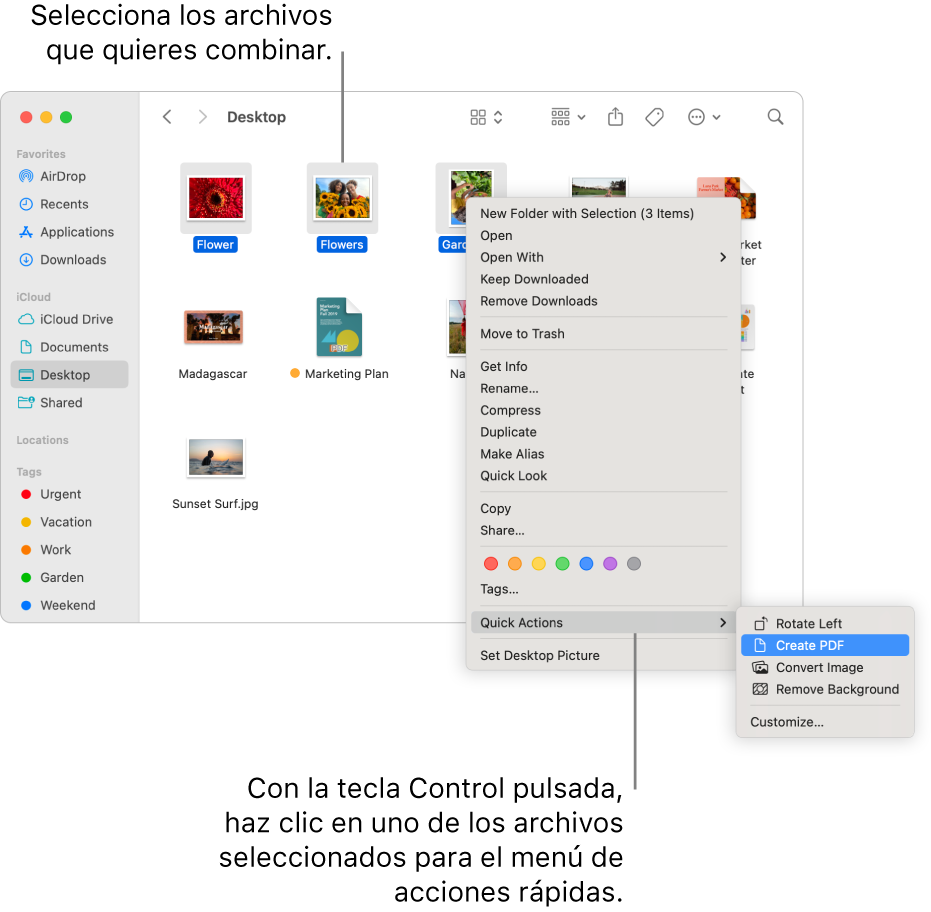 Una ventana del Finder que contiene archivos y carpetas, en la que hay seleccionados tres archivos, y está seleccionado el comando “Crear PDF” en el menú de acciones rápidas.