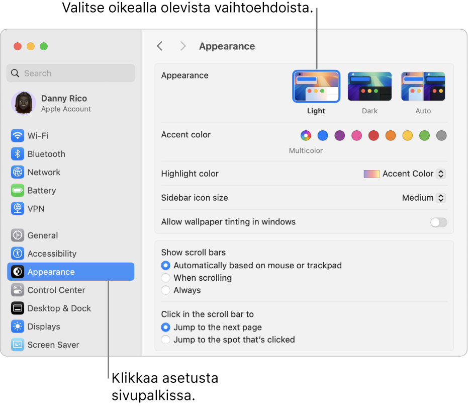 Järjestelmäasetukset-ikkuna, jossa on valittuna sivupalkissa Ulkoasu-asetukset ja oikealla näkyvät Ulkoasu-valinnat.