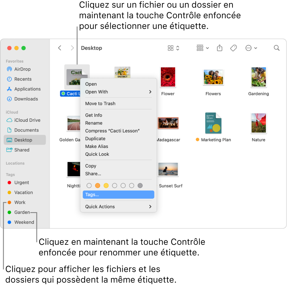 Une fenêtre du Finder qui contient des fichiers et des dossiers étiquetés, avec un fichier sélectionné. Dans le menu des raccourcis, il y a des choix de couleurs pour les étiquettes, et Étiquettes est surligné.