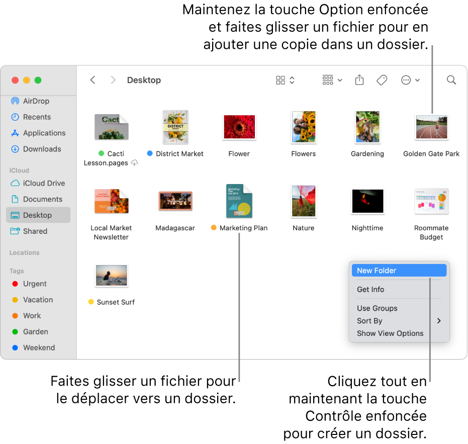 Une fenêtre du Finder contenant des fichiers et des dossiers. « Nouveau dossier » est surligné dans le menu contextuel.