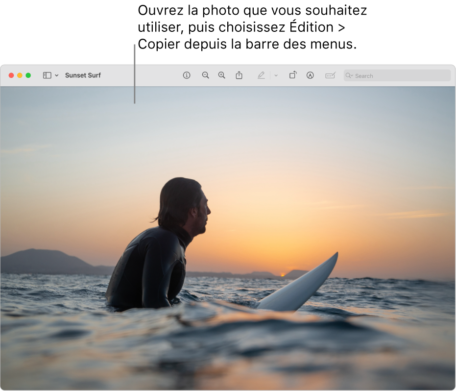 L’app Aperçu affichant une image à copier.