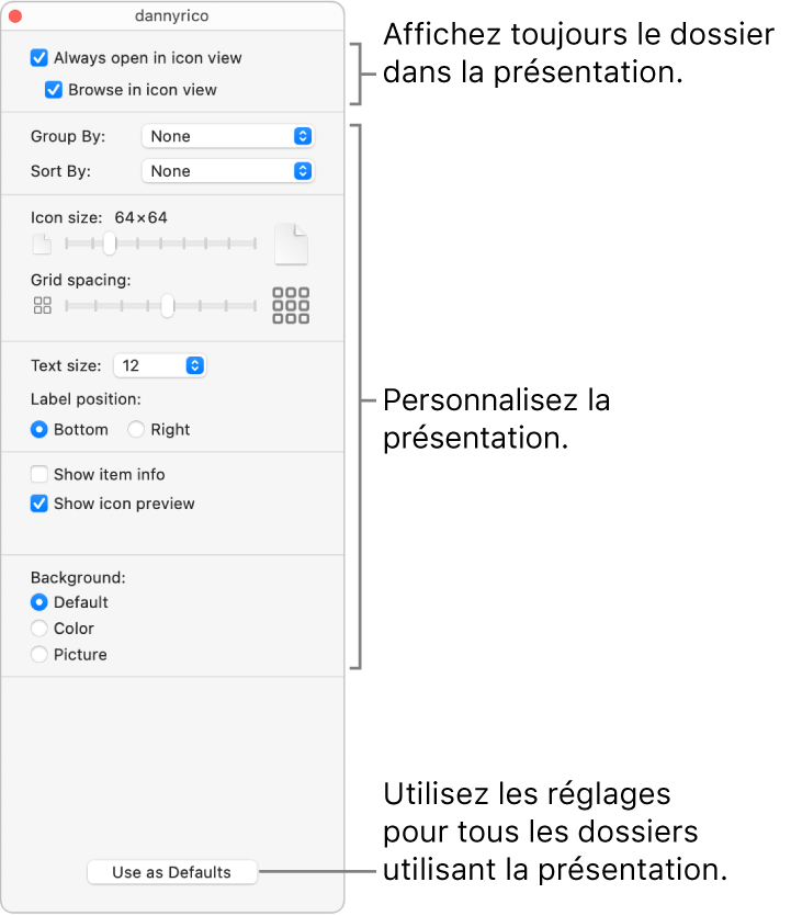 Les options de la présentation par icônes pour un dossier.