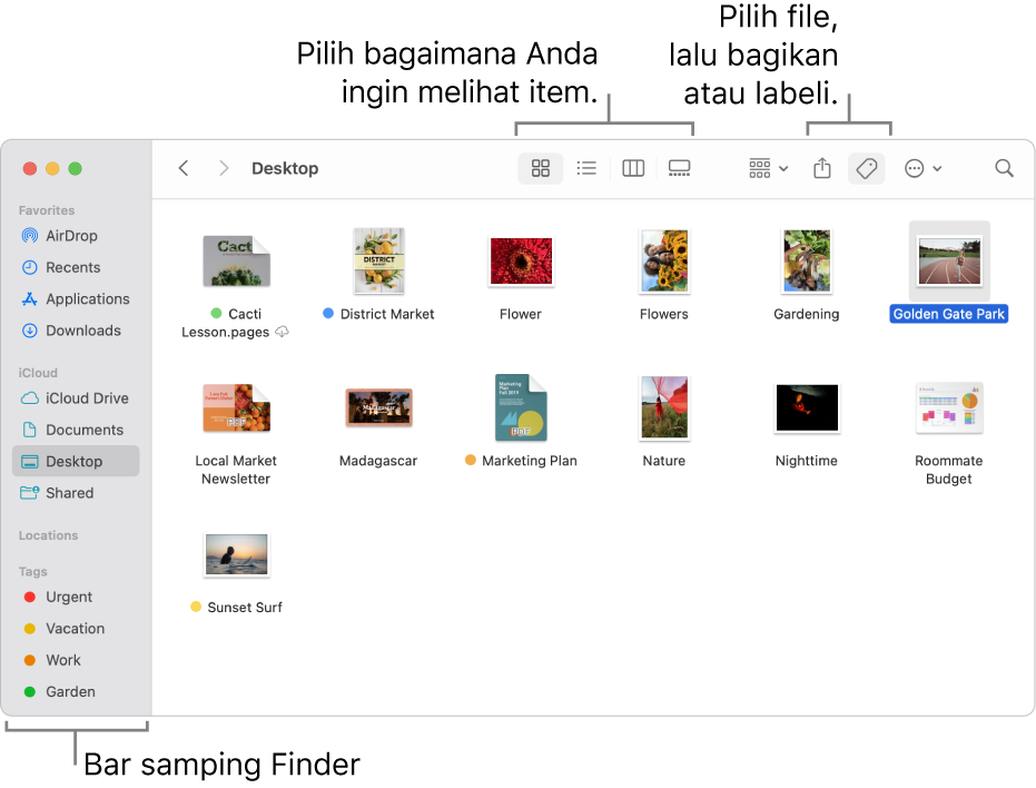 Jendela Finder dengan bar samping Finder di sebelah kiri. Di bagian atas jendela terdapat empat tombol yang mengubah cara item ditampilkan di jendela, dan tombol tambahan untuk mengatur dan membagikan item.