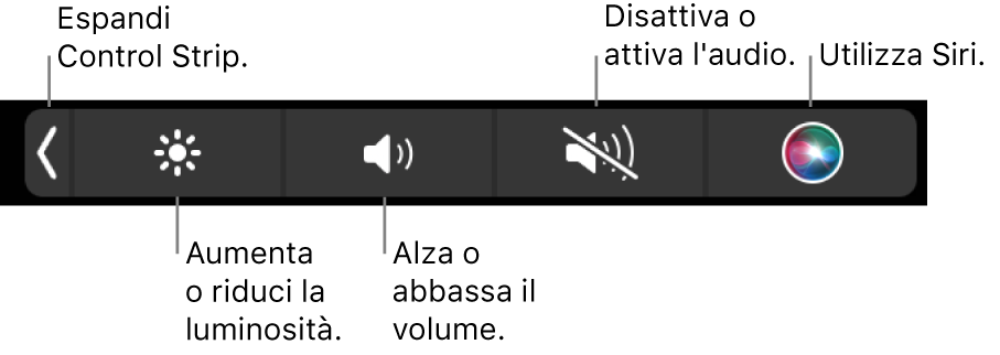 Quando è contratta, Control Strip include i pulsanti, da sinistra a destra, per espandere Control Strip, aumentare o diminuire la luminosità dello schermo e il volume, disattivare o attivare i suoni e utilizzare Siri.