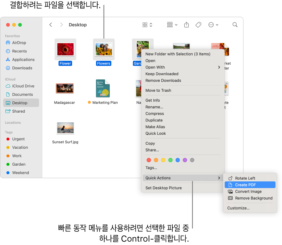 파일과 폴더가 포함된 Finder 윈도우에서 세 개의 파일이 선택되고 빠른 동작 메뉴에서 PDF 생성이 하이라이트됨.