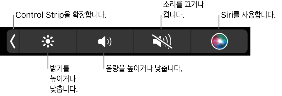 왼쪽에서 오른쪽으로 Control Strip을 확장하거나, 디스플레이 밝기 및 음량을 늘리고 줄이거나, 소리를 켜고 끄거나, Siri를 사용할 수 있는 버튼이 있는 축소된 Control Strip.