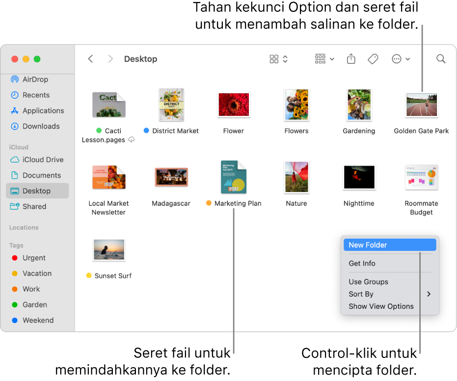 Tetingkap Finder yang mengandungi fail dan folder. Dalam menu pintasan, Folder Baharu diserlahkan.