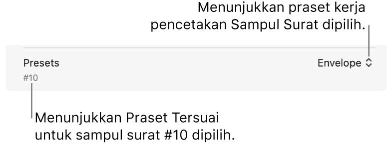 Bahagian Praset daripada dialog Cetak menunjukkan praset kerja pencetakan untuk sampul dan praset tersuai untuk sampul #10 dipilih.