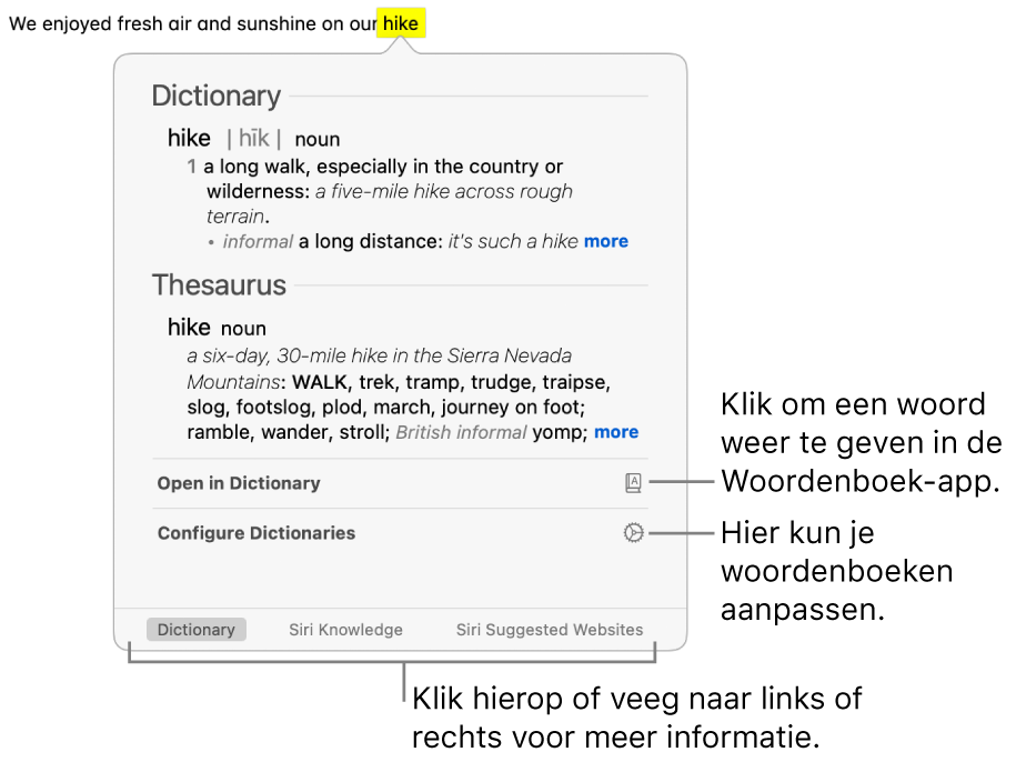 Het opzoekvenster met Woordenboek- en Thesaurus-definities voor een woord.