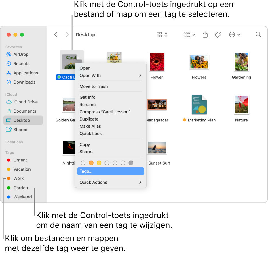 Een Finder-venster met bestanden en mappen met een tag; een bestand is geselecteerd. In het contextuele menu zijn er kleurkeuzes voor tags, en 'Tags' is gemarkeerd.