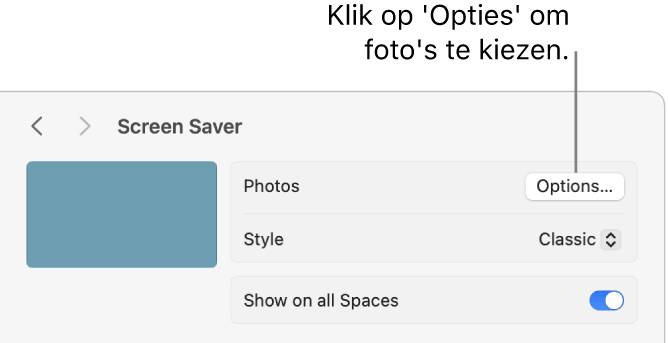 De bovenkant van het venster 'Systeeminstellingen' met opties voor 'Foto's'.