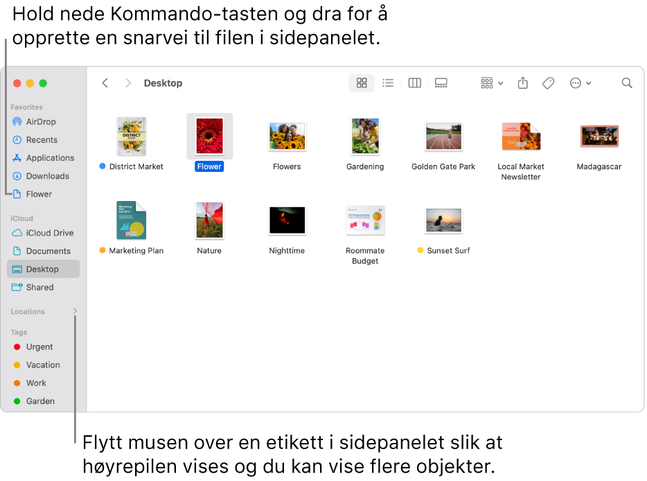 Til høyre for Plasseringer i Finder-sidepanelet er det en pil du kan klikke på for å vise flere objekter. En fil markeres i Finder-vinduet til høyre, og en snarvei til filen vises i sidepanelet, under Favoritter.