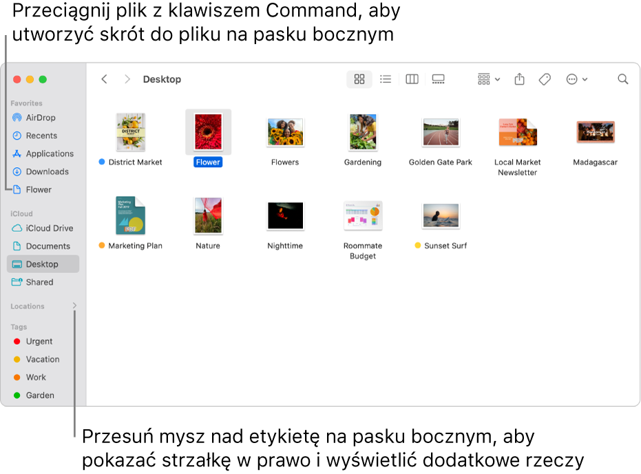 Po prawej stronie etykiety Miejsca na pasku bocznym Findera widoczna jest strzałka. Kliknięcie w nią pokazuje dodatkowe miejsca. Okno Findera z zaznaczonym po prawej plikiem. Na pasku bocznym, pod etykietą Ulubione, widoczny jest skrót do tego pliku.