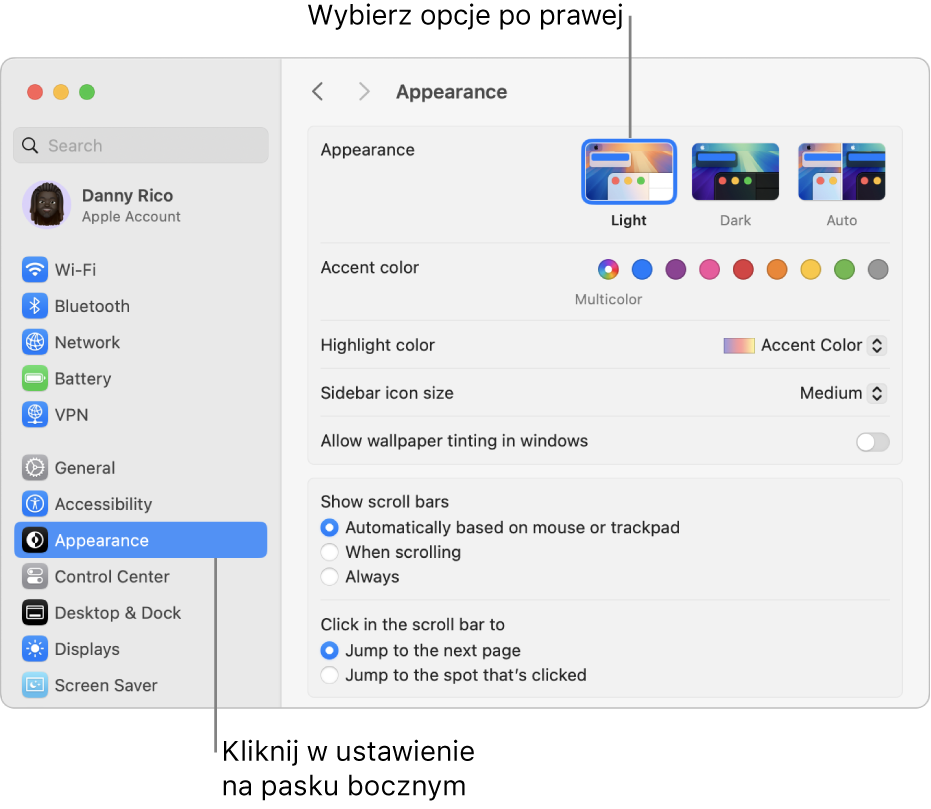 Okno Ustawień systemowych. Na pasku bocznym zaznaczone są ustawienia wyglądu. Po prawej widoczne są opcje dotyczące wyglądu.