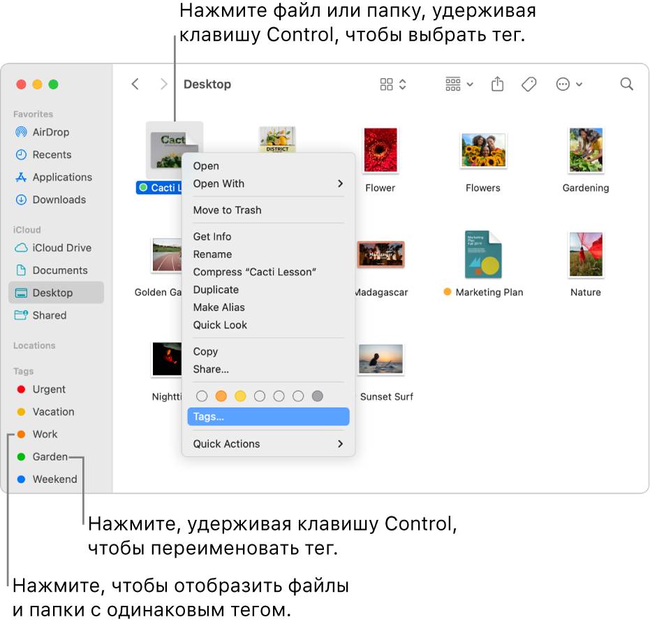 Показано окно Finder, содержащее файлы и папки с тегами, и выбран файл. В контекстном меню можно выбрать цвет тегов; выделено «Теги».