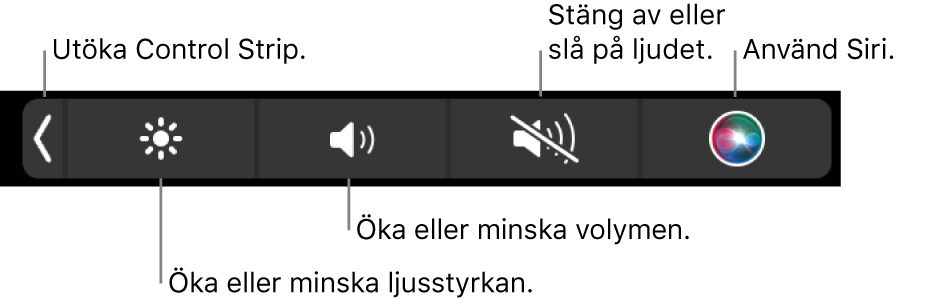 Hopfällda Control Strip innehåller knappar för att, från vänster till höger, utvidga Control Strip, öka eller minska ljusstyrkan på skärmen och volymen, stänga av eller slå på ljudet och använda Siri.