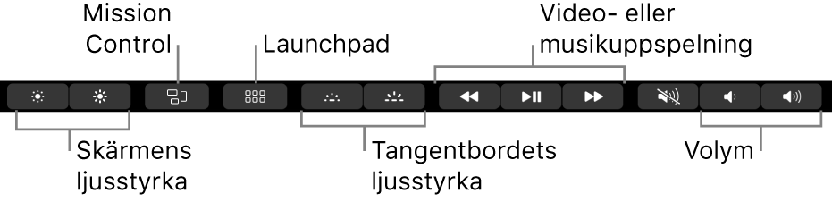 Knapparna i utvidgade Control Strip är, från vänster till höger, bildskärmsljusstyrka, Mission Control, Launchpad, tangentbordets bakbelysning, uppspelningsreglage för video och musik och volym.