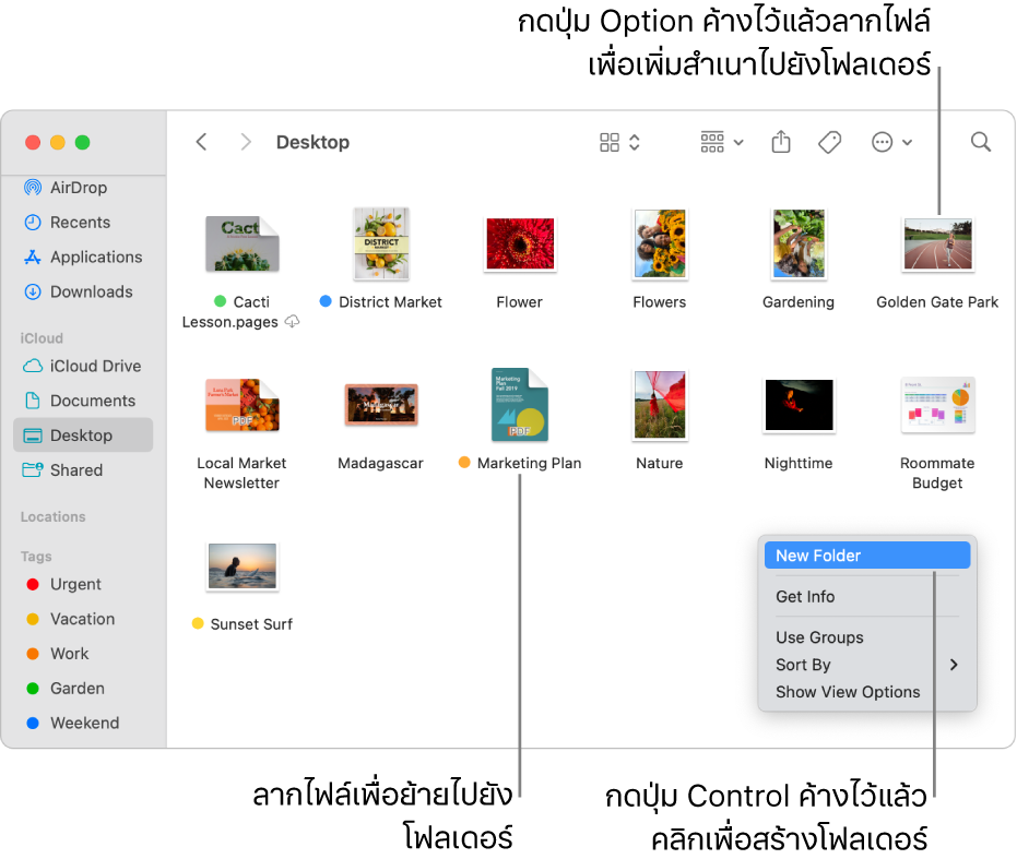 หน้าต่าง Finder ที่มีไฟล์และโฟลเดอร์ ในเมนูปุ่มลัด โฟลเดอร์ใหม่ถูกไฮไลท์อยู่