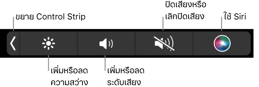 Control Strip ที่ยุบอยู่จะมีปุ่มต่างๆ เรียงจากซ้ายไปขวาดังนี้ ปุ่มสำหรับขยาย Control Strip, ปุ่มสำหรับเพิ่มหรือลดความสว่างจอภาพและระดับเสียง, ปุ่มสำหรับปิดเสียงหรือเลิกปิดเสียง และปุ่มใช้ Siri