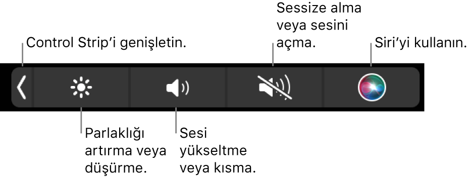 Daraltılmış Control Strip soldan sağa doğru, Control Strip’i genişletme, ekran parlaklığını ve ses yüksekliğini artırma veya azaltma, sesi kapatma veya açma ve Siri’yi kullanma düğmelerini içeriyor.