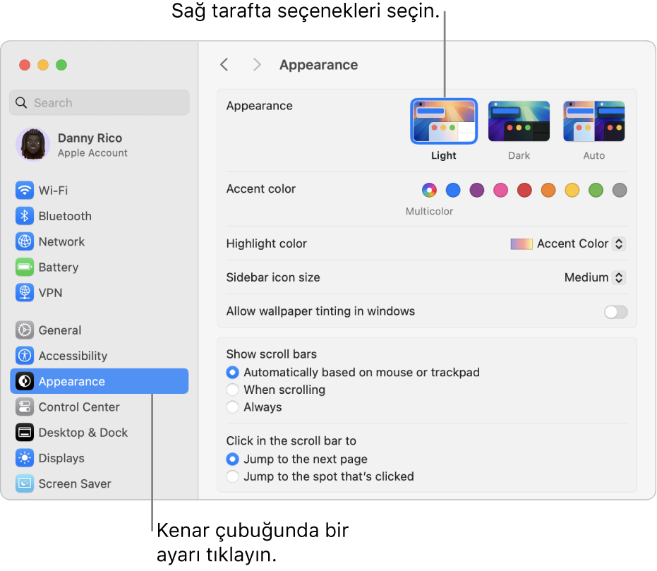 Kenar çubuğunda seçili Görünüş ayarları ve sağda Görünüş seçenekleri ile Sistem Ayarları penceresi.