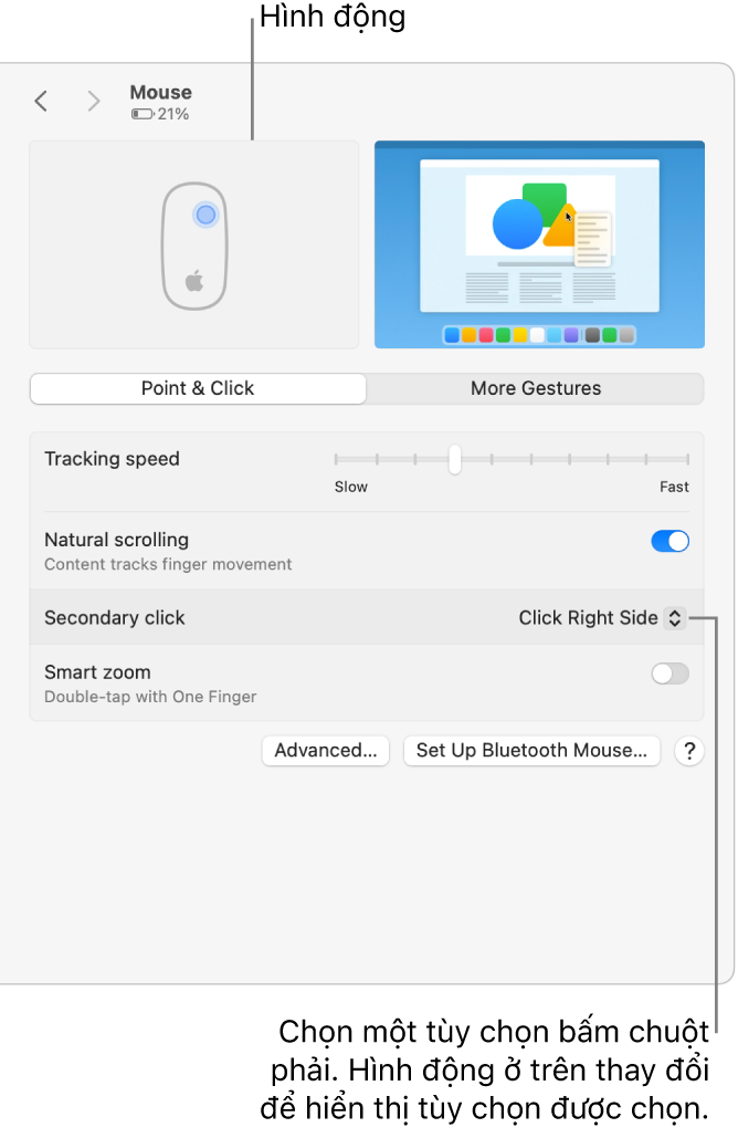 Tùy chọn Chuột trong Cài đặt hệ thống đang hiển thị tùy chọn bấm chuột phụ được đặt thành Bấm bên phải và hình động tương ứng.
