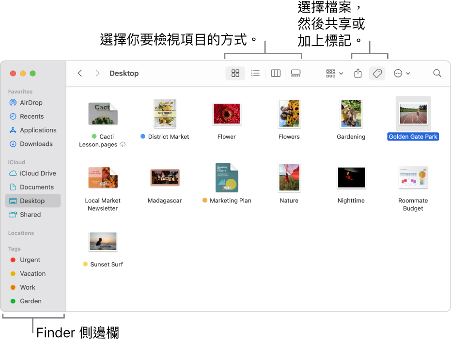 Finder 視窗，左側顯示 Finder 側邊欄。 在視窗的最上方有四個可更改項目在視窗中顯示方式的按鈕，以及其他用於整理和分享項目的按鈕。