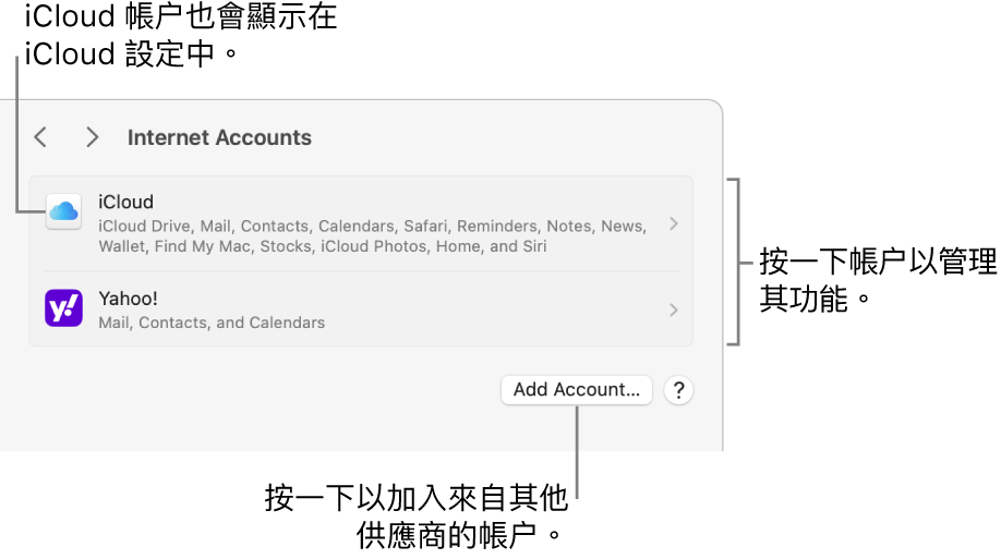 「互聯網帳户」設定，其中列出已在 Mac 上設定的帳户。