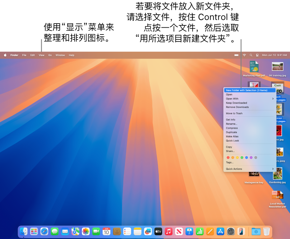 显示文件和文件夹的桌面。多个文件被选中并放入新文件夹。按住 Control 键点按所选文件后显示弹出式菜单，其中“用所选项目新建文件夹”被选中。