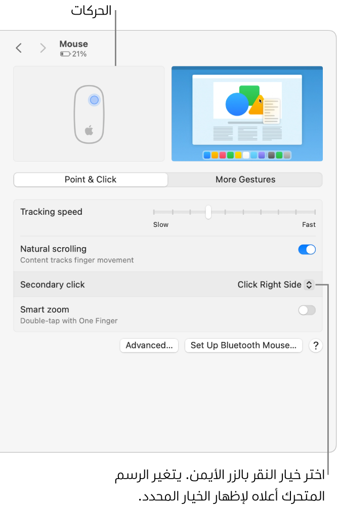 خيارات الماوس في إعدادات النظام، ويظهر بها خيار النقر الثانوي المعيَّن على "النقر على اليمين" والحركة المقابلة.