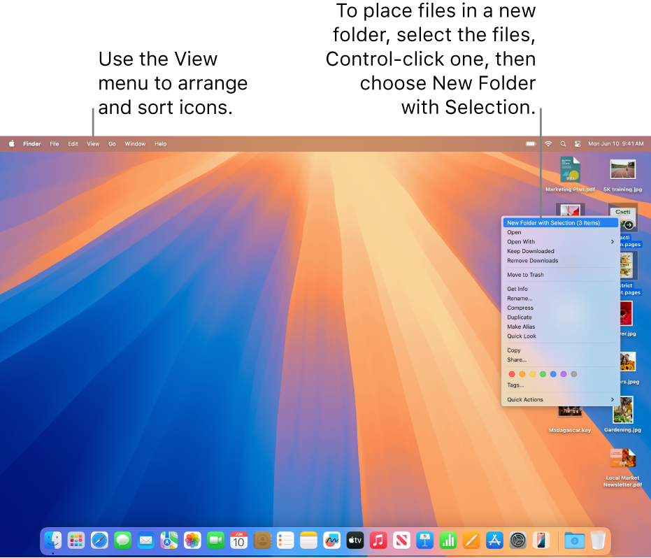 A desktop showing files and folders. Several files are selected to be placed in a new folder. A Control-click of a selected file shows a pop-up menu and New Folder with Selection is chosen.