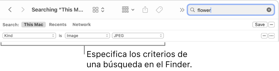 Una ventana del Finder con campos para especificar criterios de búsqueda.