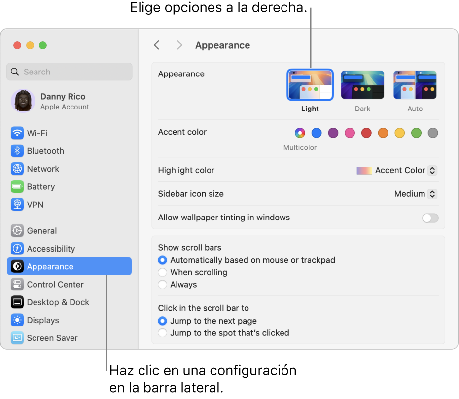 La ventana de Configuración del Sistema, con la configuración de Aspecto seleccionado en la barra lateral y las opciones de Aspecto a la derecha.