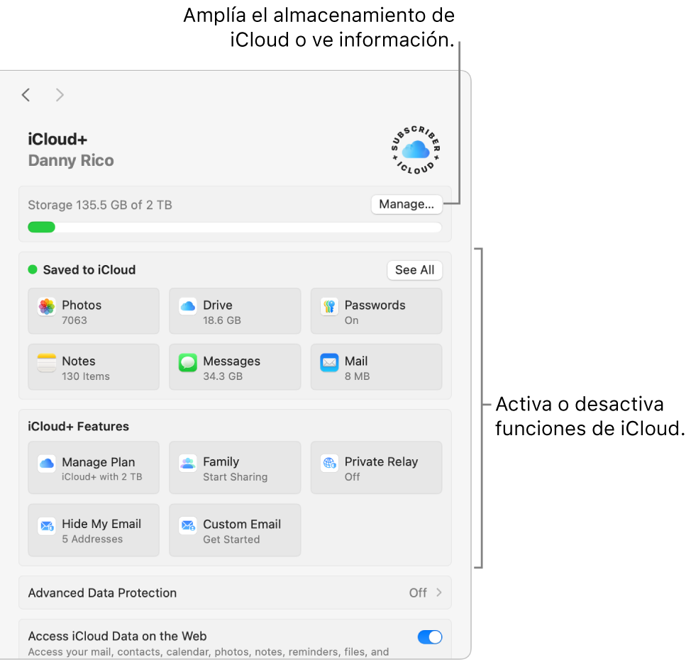 La configuración de iCloud con todas las funciones activadas.