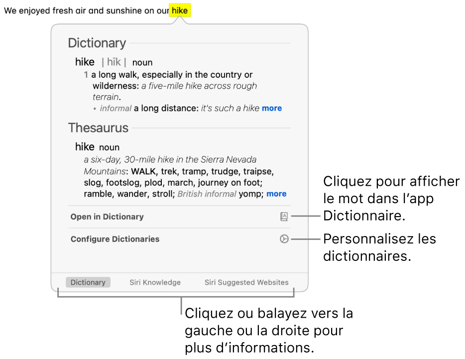 La fenêtre Rechercher affiche le dictionnaire et les définitions du thésaurus pour un mot.