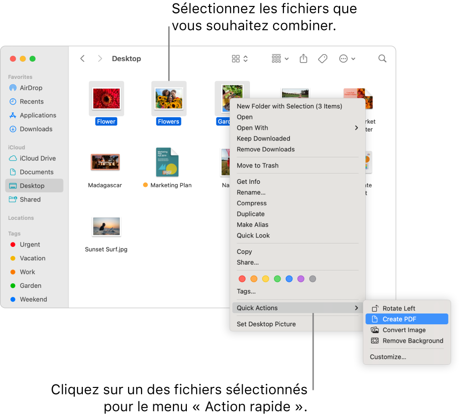 Une fenêtre du Finder contenant des fichiers et des dossiers ; trois fichiers sont sélectionnés et l’option « Créer un PDF » est surlignée dans le menu « Actions rapides ».