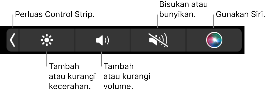 Control Strip yang diciutkan meliputi tombol—dari kiri ke kanan—untuk memperluas Control Strip, menambah dan mengurangi kecerahan layar dan volume, membisukan atau membunyikan, dan menggunakan Siri.