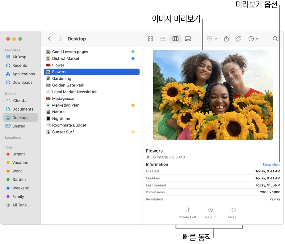 윈도우의 왼쪽에 표시된 Finder 사이드바 및 윈도우 중앙에서 선택된 이미지 파일이 있는 Finder 윈도우. 오른쪽에는 이미지가 어떤 모양인지 나타내는 미리보기 패널이 있고, 그 아래에는 이미지 세부사항이 있고, 하단에는 빠른 동작 버튼이 있음.