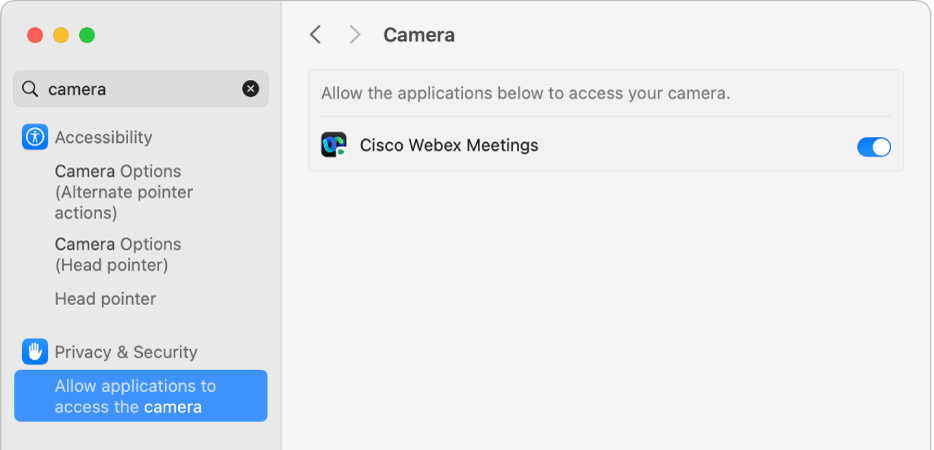 Instellingen voor 'Privacy en beveiliging' voor de camera van je Mac. De apps die toegang tot de camera hebben, zijn ingeschakeld.