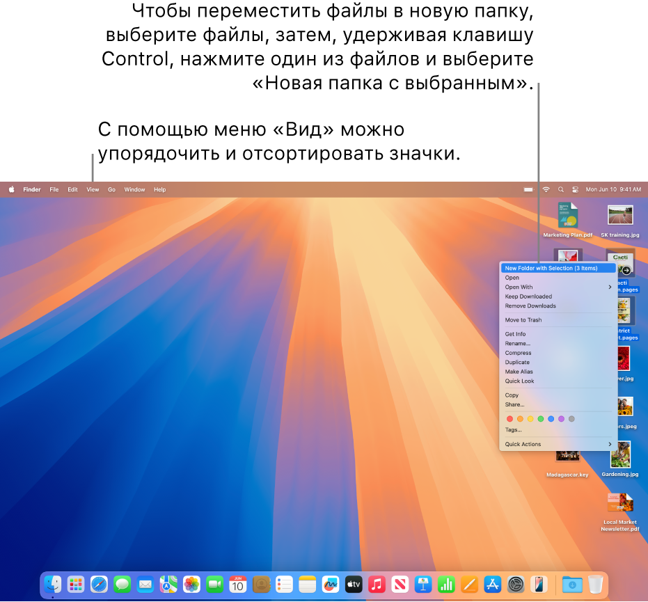 На рабочем столе показаны файлы и папки. Выбрано несколько файлов для добавления в новую папку. После нажатия на выбранный файл при нажатой клавише Control было показано всплывающее меню, в котором выбран вариант «Новая папка с выбранным».