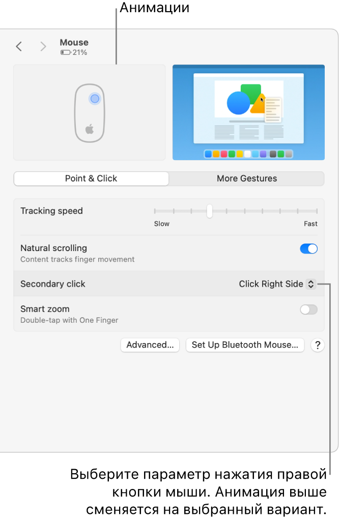 В разделе Системных настроек «Мышь» для вспомогательного нажатия выбран вариант «Нажатие справа»; демонстрируется соответствующая анимация.