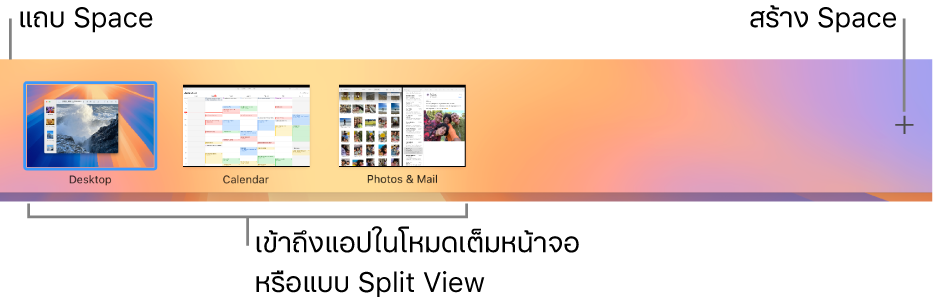 แถบ Space ที่แสดง Space ของเดสก์ท็อป แอปต่างๆ ในโหมดเต็มหน้าจอหรือ Split View และปุ่มเพิ่มสำหรับสร้าง Space