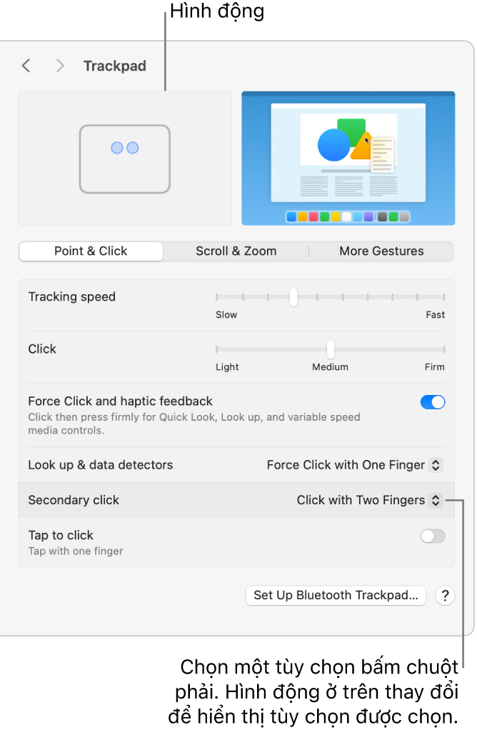 Tùy chọn Bàn di chuột trong Cài đặt hệ thống đang hiển thị tùy chọn bấm chuột phụ được đặt thành Bấm bằng hai ngón tay và hình động tương ứng.