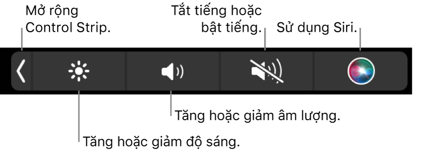 2. Hướng dẫn tắt màn hình tivi Sony khi nghe nhạc trên YouTube