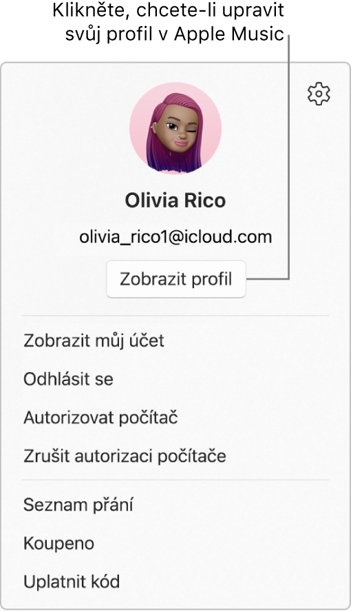Nabídka profilu, která se otevře, když vyberete své jméno u dolního okraje bočního panelu. Nahoře je vidět obrázek uživatele a účet Apple. Pod účtem Apple se nachází tlačítko Zobrazit profil. V nabídce jsou k dispozici volby Zobrazit můj účet, Autorizovat počítač a Seznam přání.
